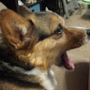 Meet your Posher, Carrie